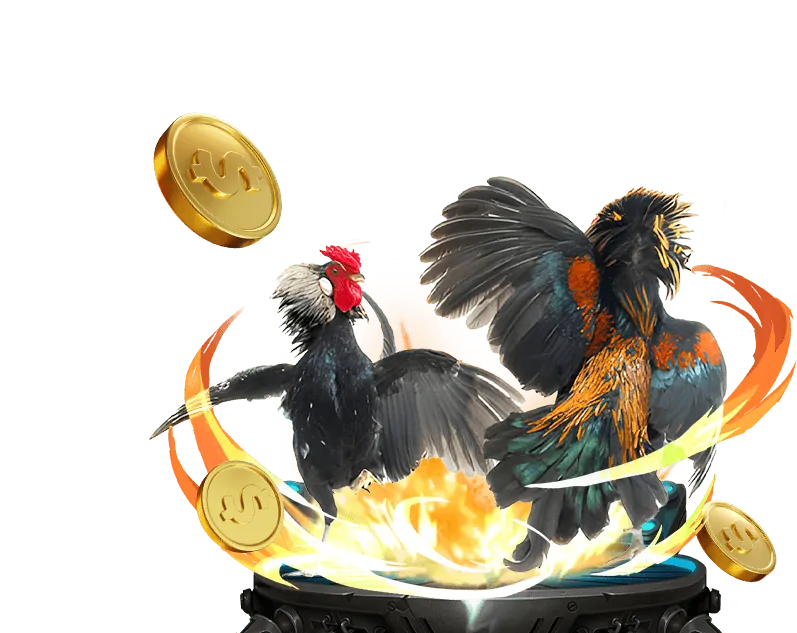 Đá Gà W88 Hồng Nhung